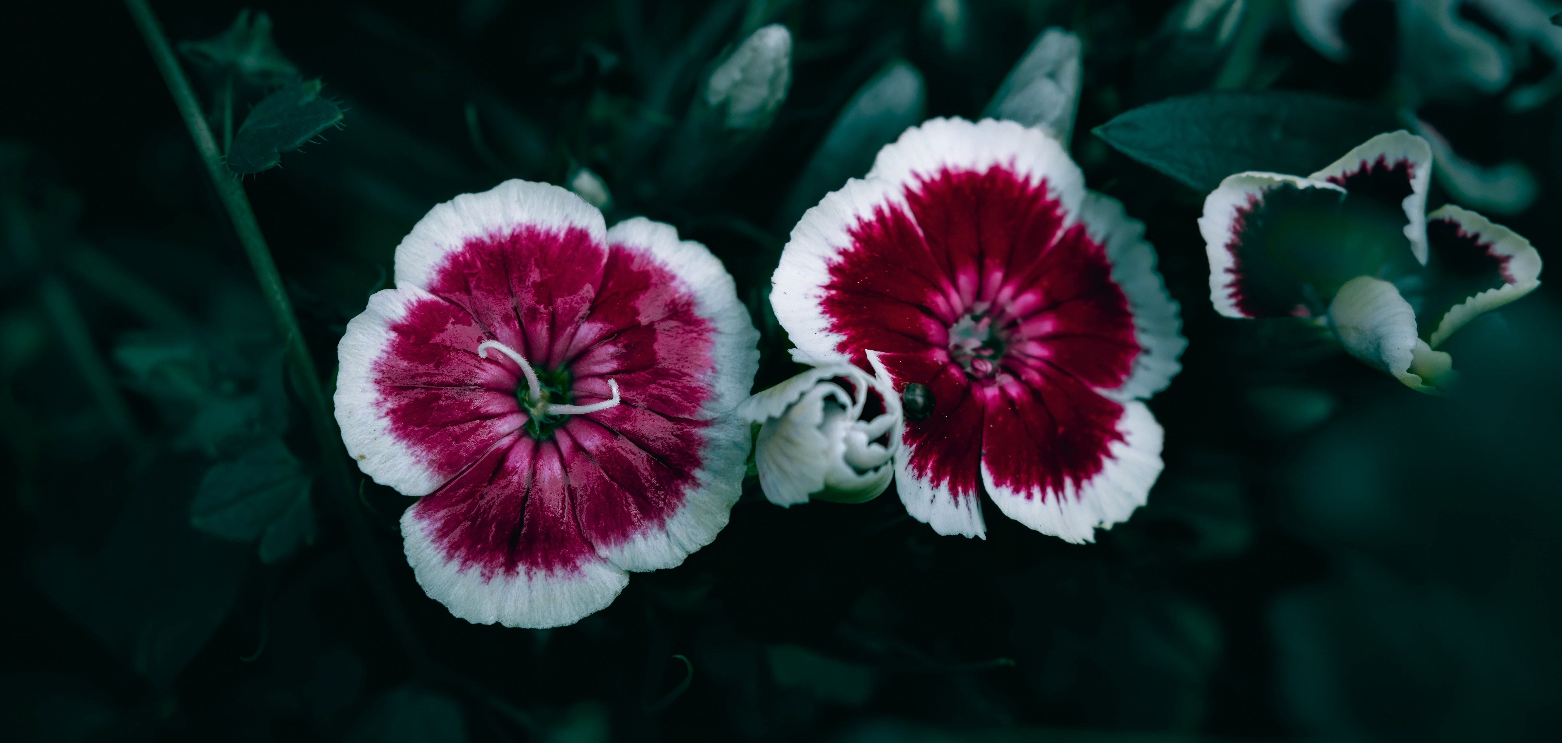 Value vs. Growth: A Performance Review