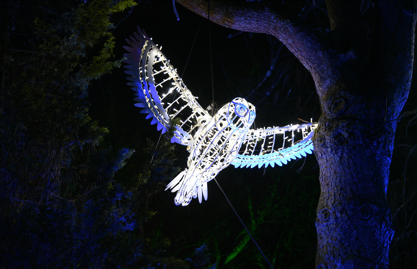 How To Discuss the Blue Owl Situation With Clients